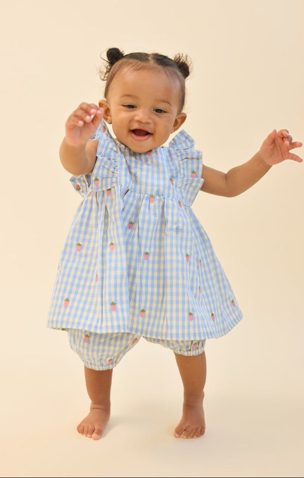 Sky Berry Gingham