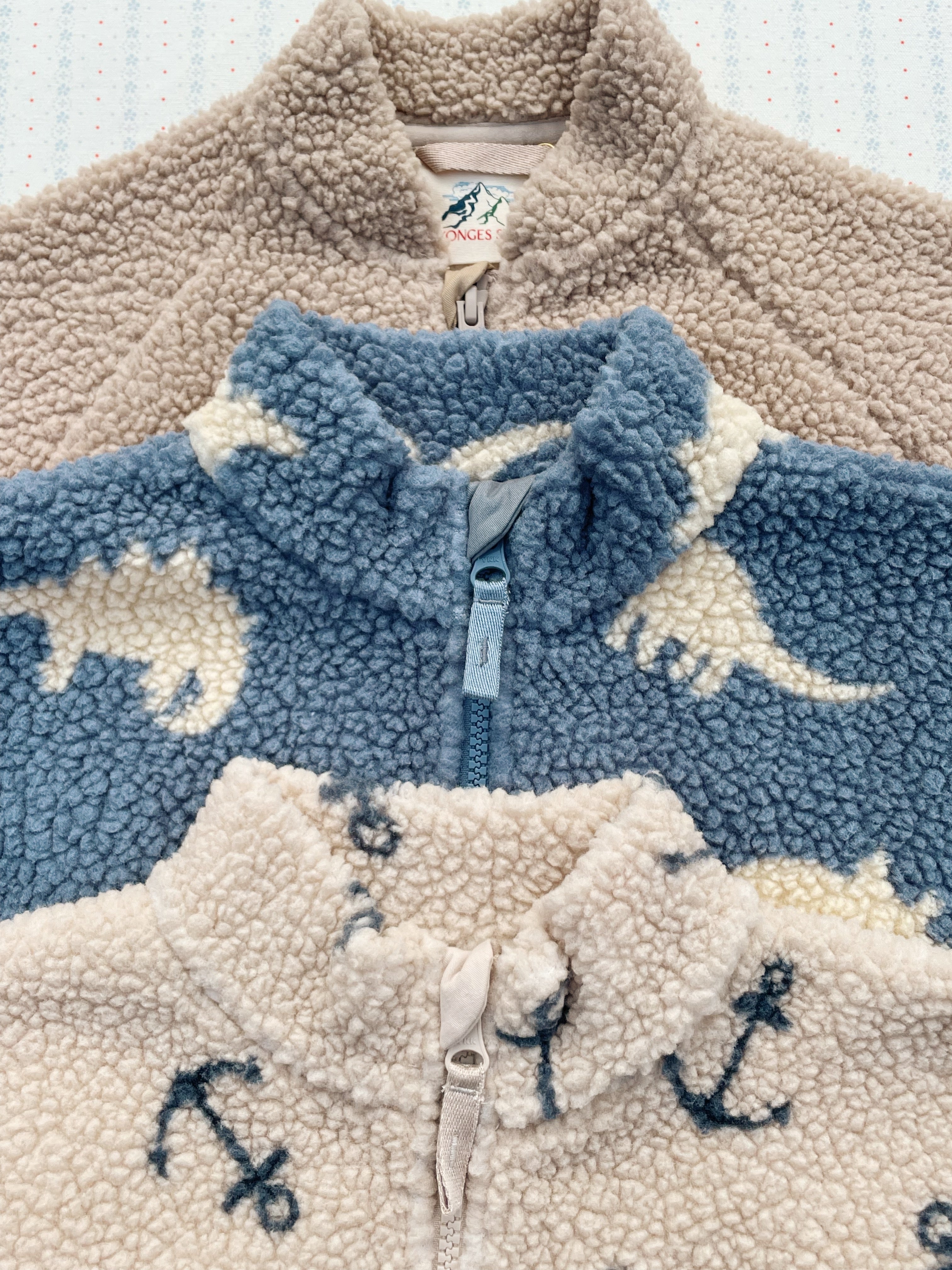 Jody Teddy Jas