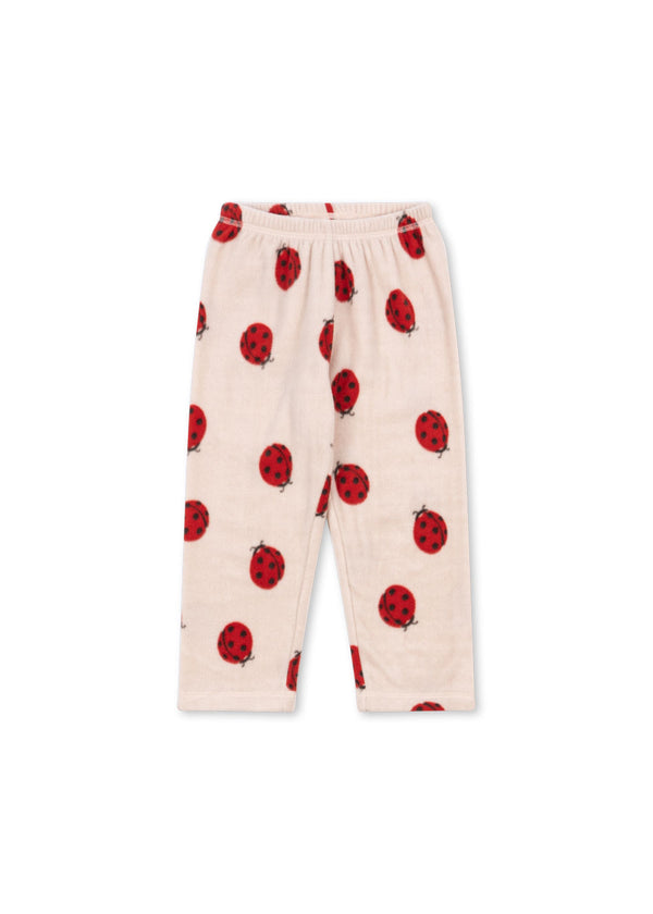 Ladybug