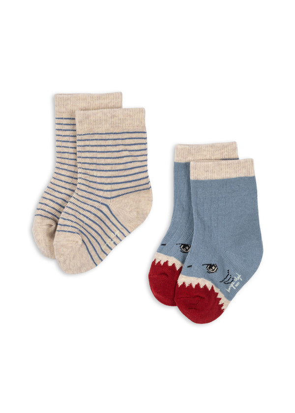 Shark
