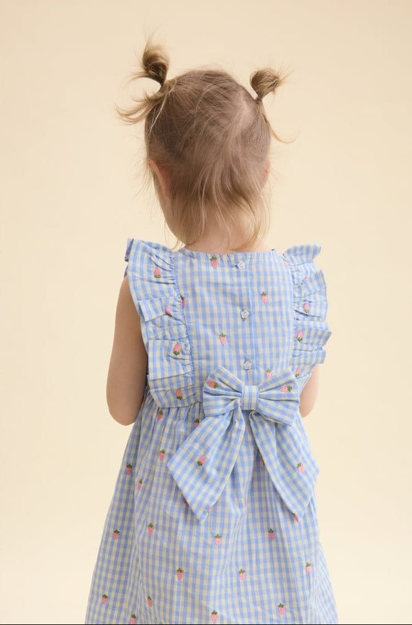 Sky Berry Gingham