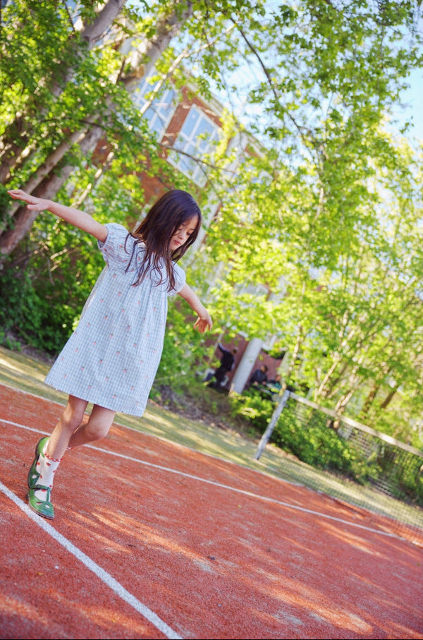 Sky Berry Gingham