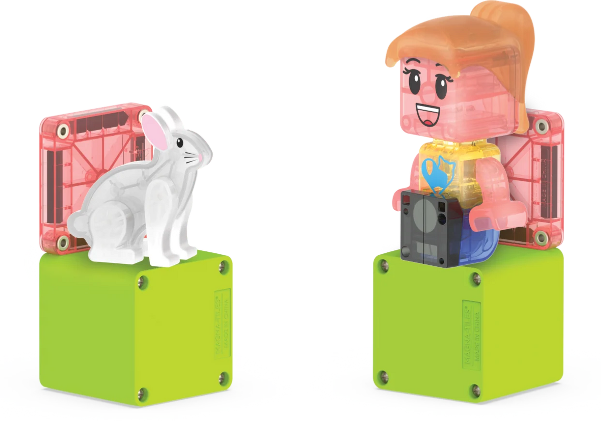 Pet Playhouse Set 50 stuks