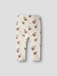 Broek Gayo