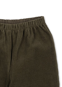 Sully Broek