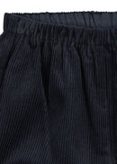 Sully Broek
