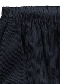 Sully Broek