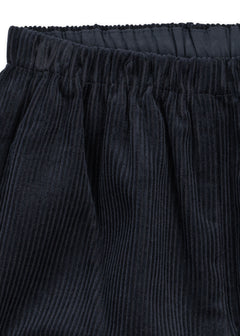Sully Broek