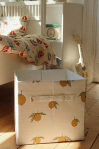 2-pack Opvouwbare opbergdozen