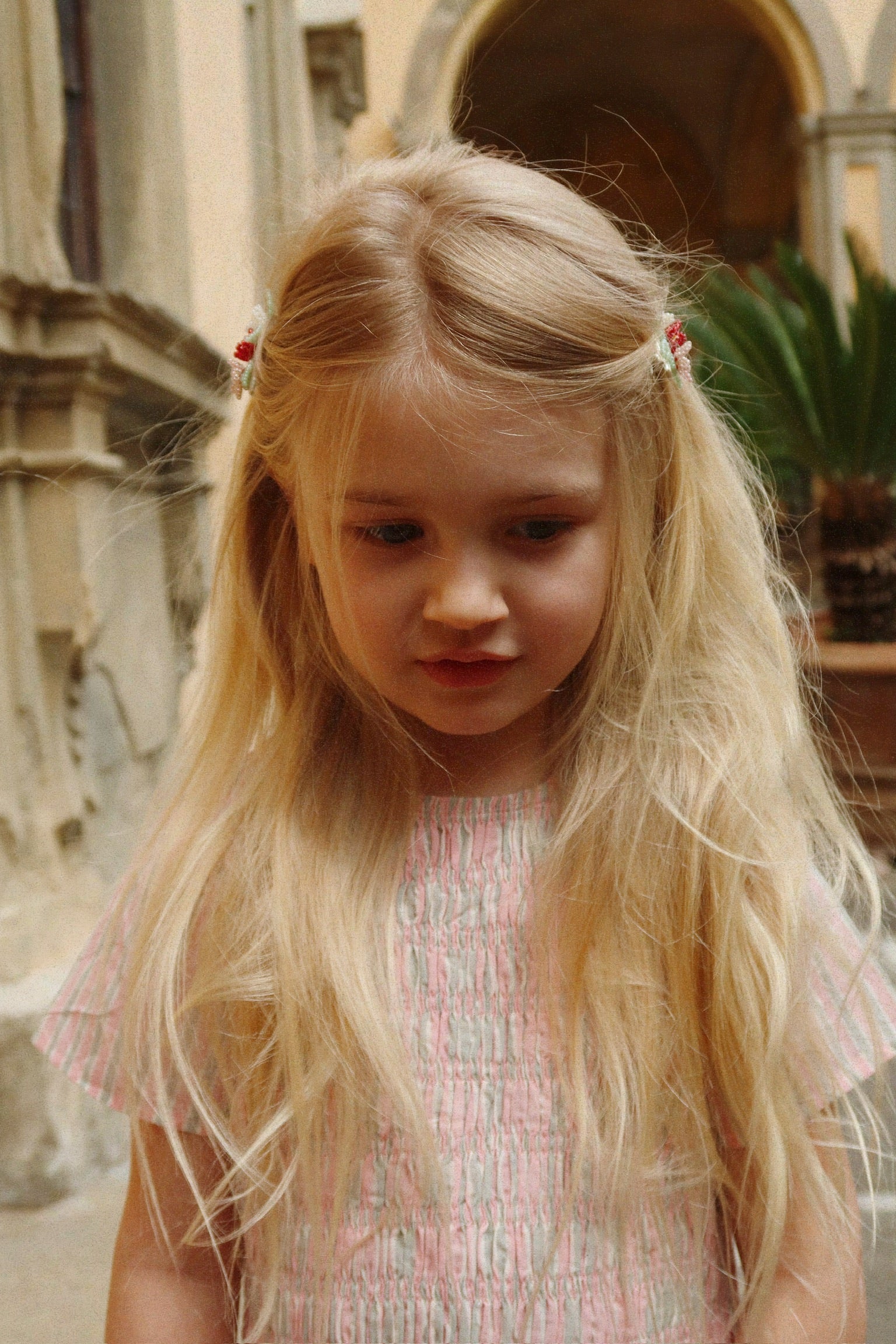 2-pack Bloemenveld haarclipjes