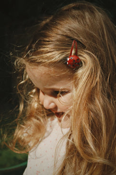 4-pack Ladybug haarclipjes