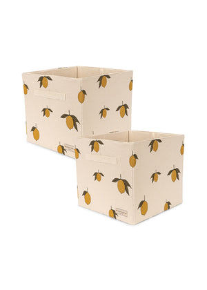 2-pack Opvouwbare opbergdozen