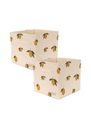 2-pack Opvouwbare opbergdozen