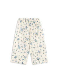 Pacey Broek