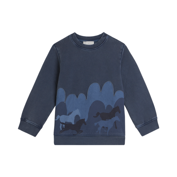 Air Force Blue