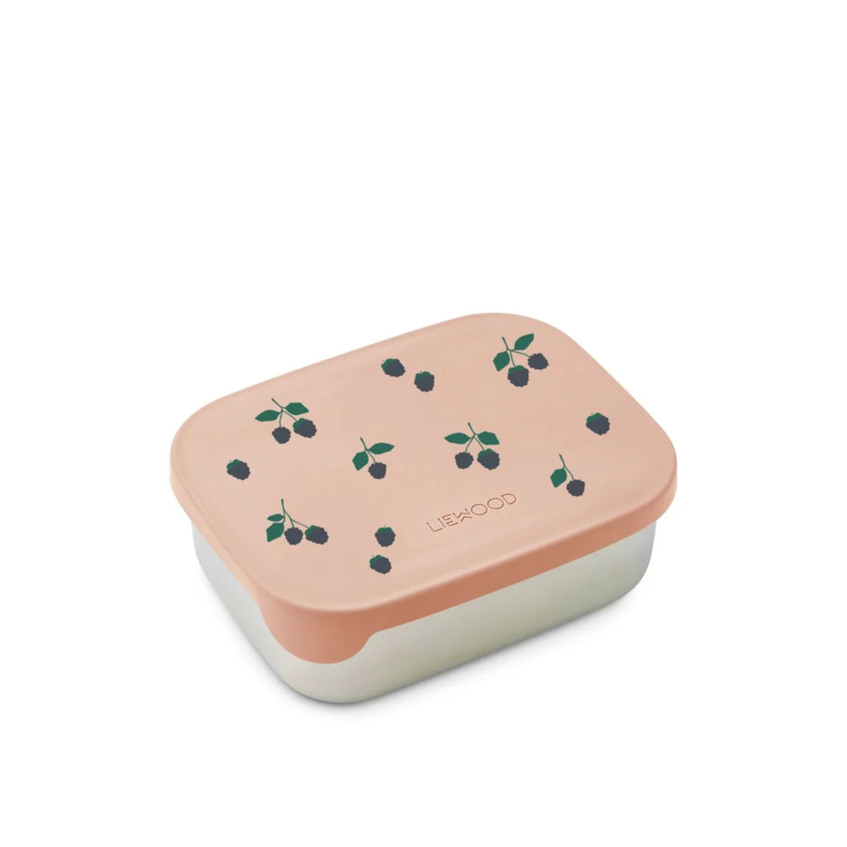Arthur Steel Lunchbox