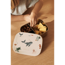 Arthur Steel Lunchbox