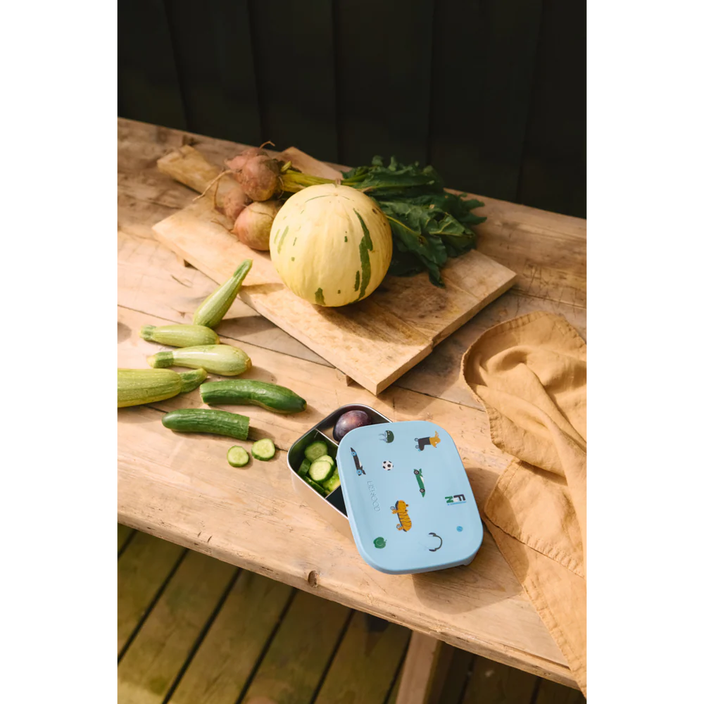 Arthur Steel Lunchbox