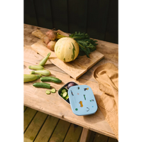 Arthur Steel Lunchbox
