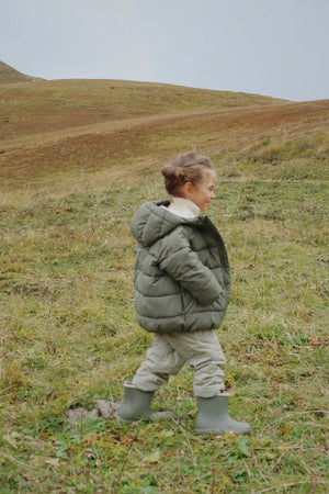 Alpi Jas