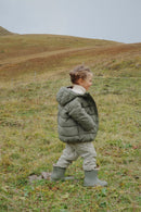 Alpi Jas