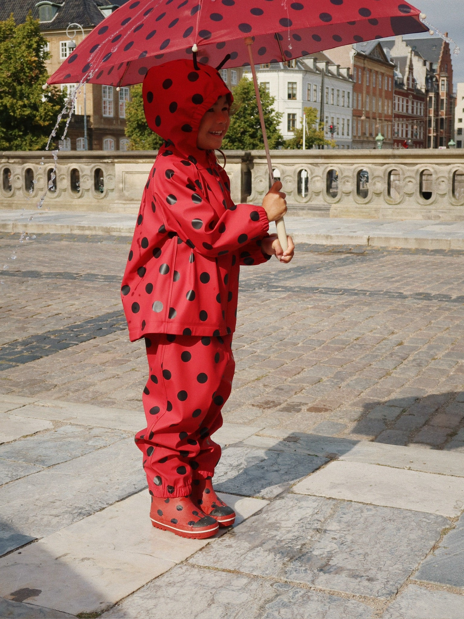 Ladybug Umbrella