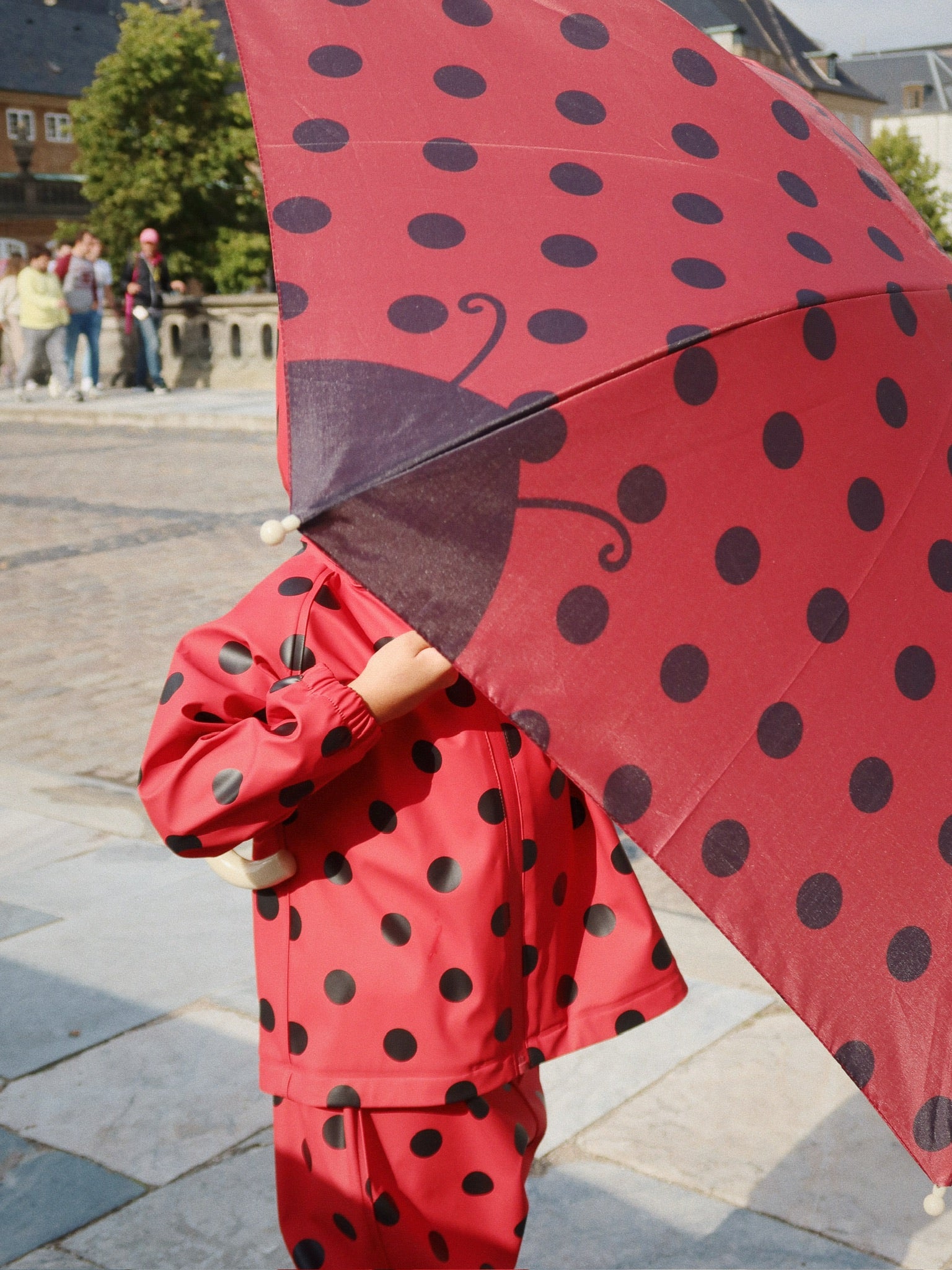 Ladybug Umbrella