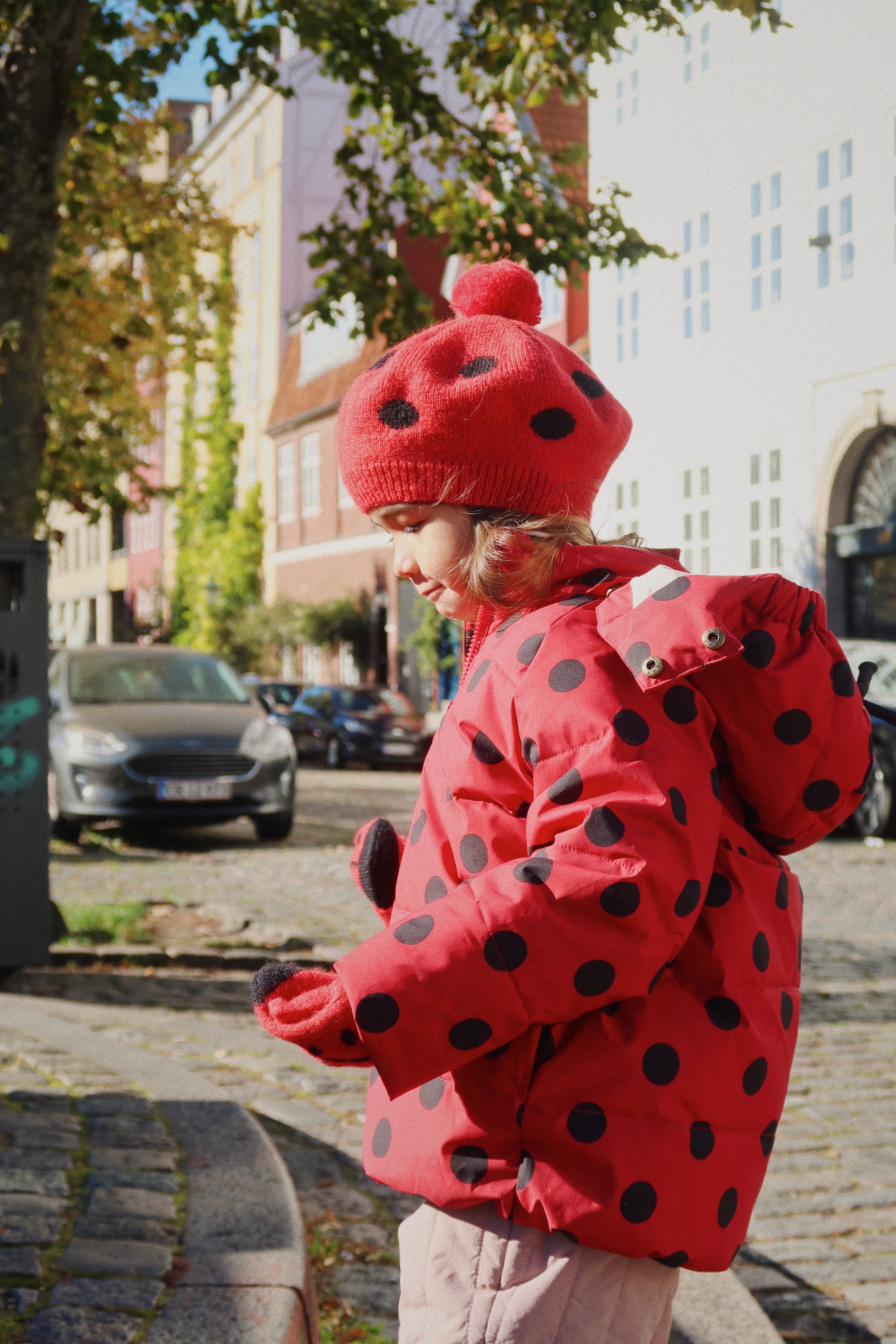 Ladybug beret