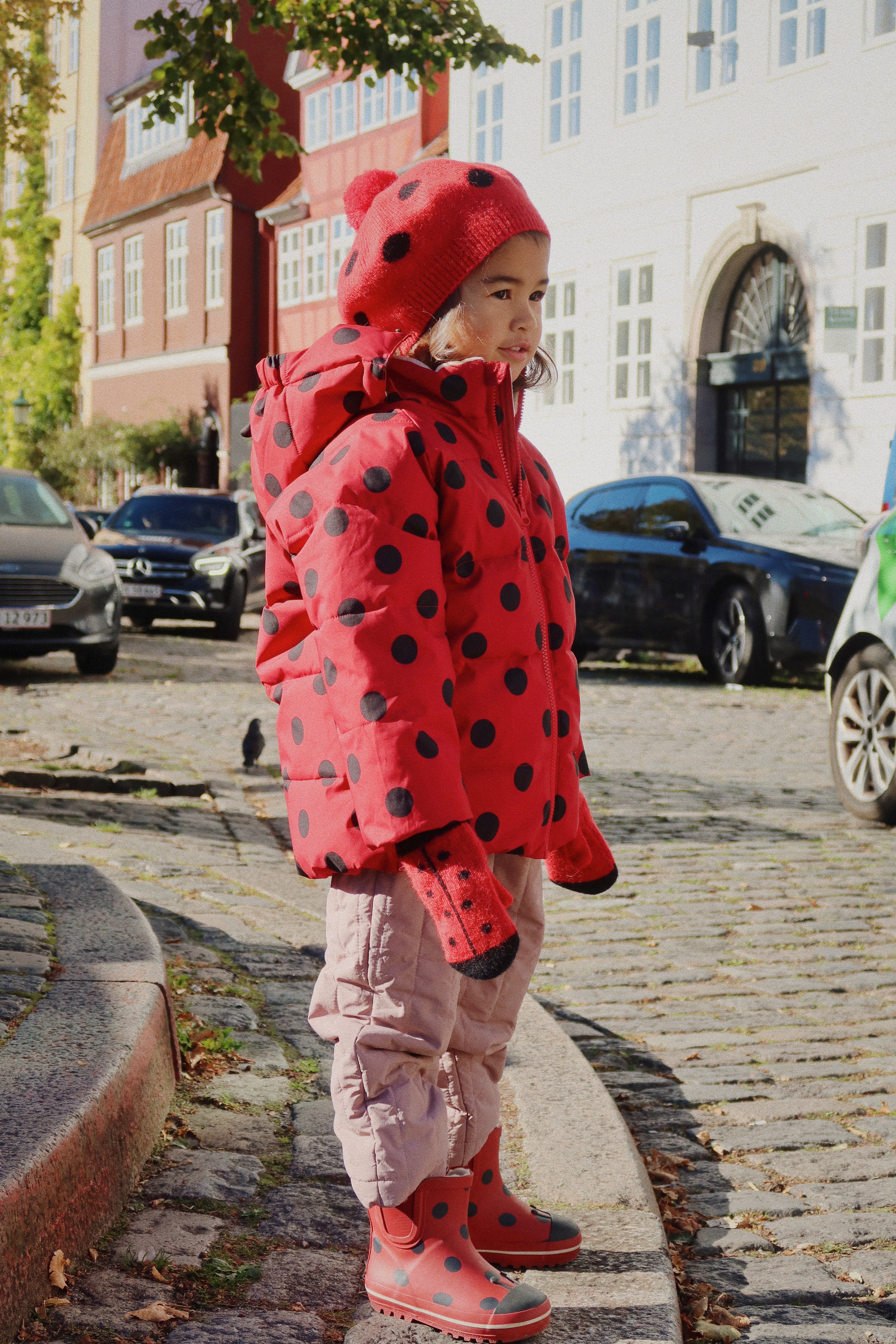 Ladybug beret