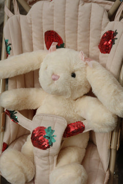 Poppen buggy
