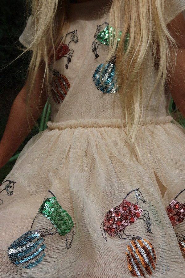Cavalli