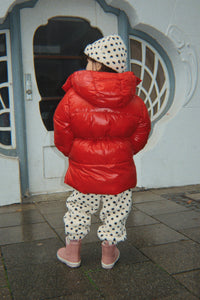 Jody Teddy Muts