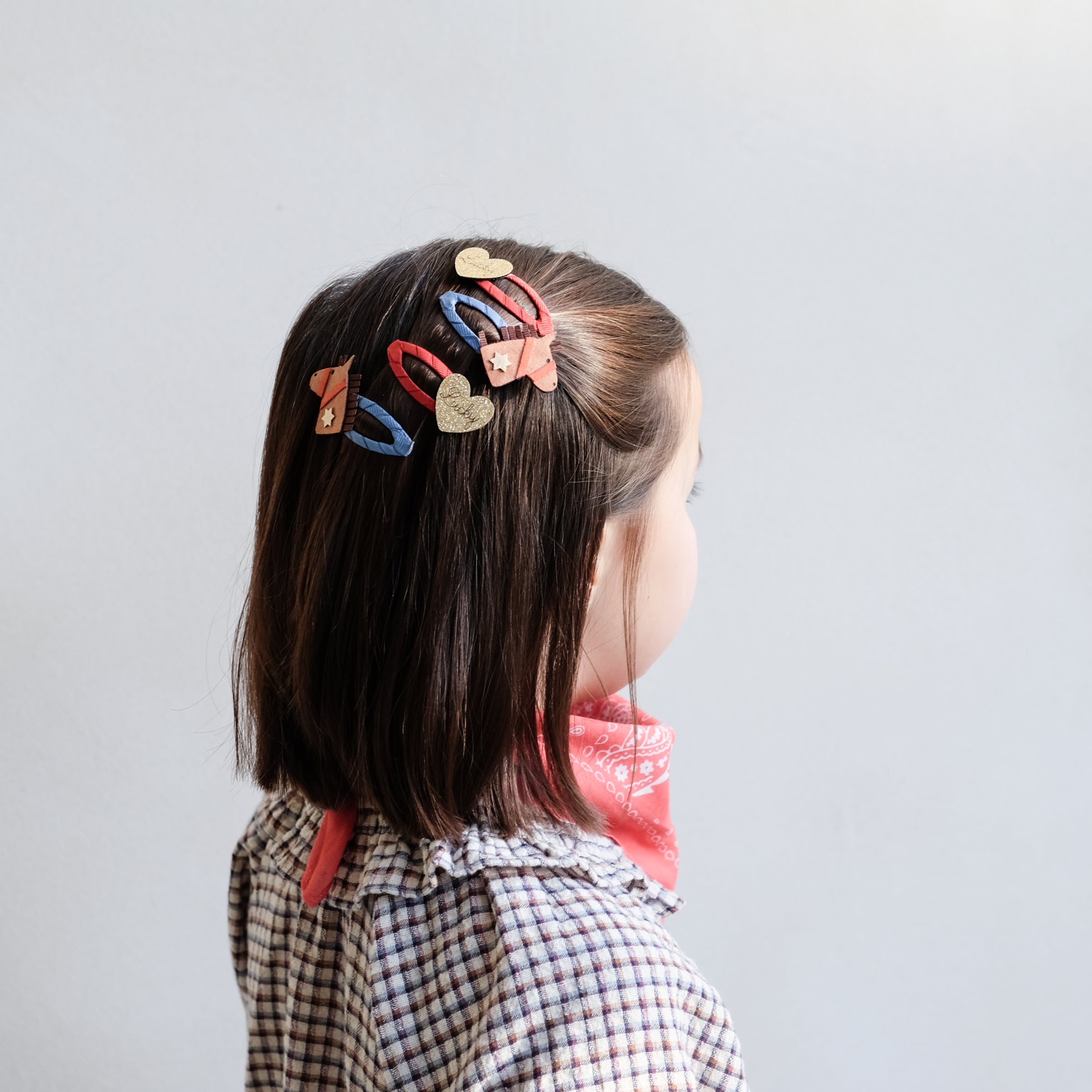 4-pack Lucky Horse haarclipjes