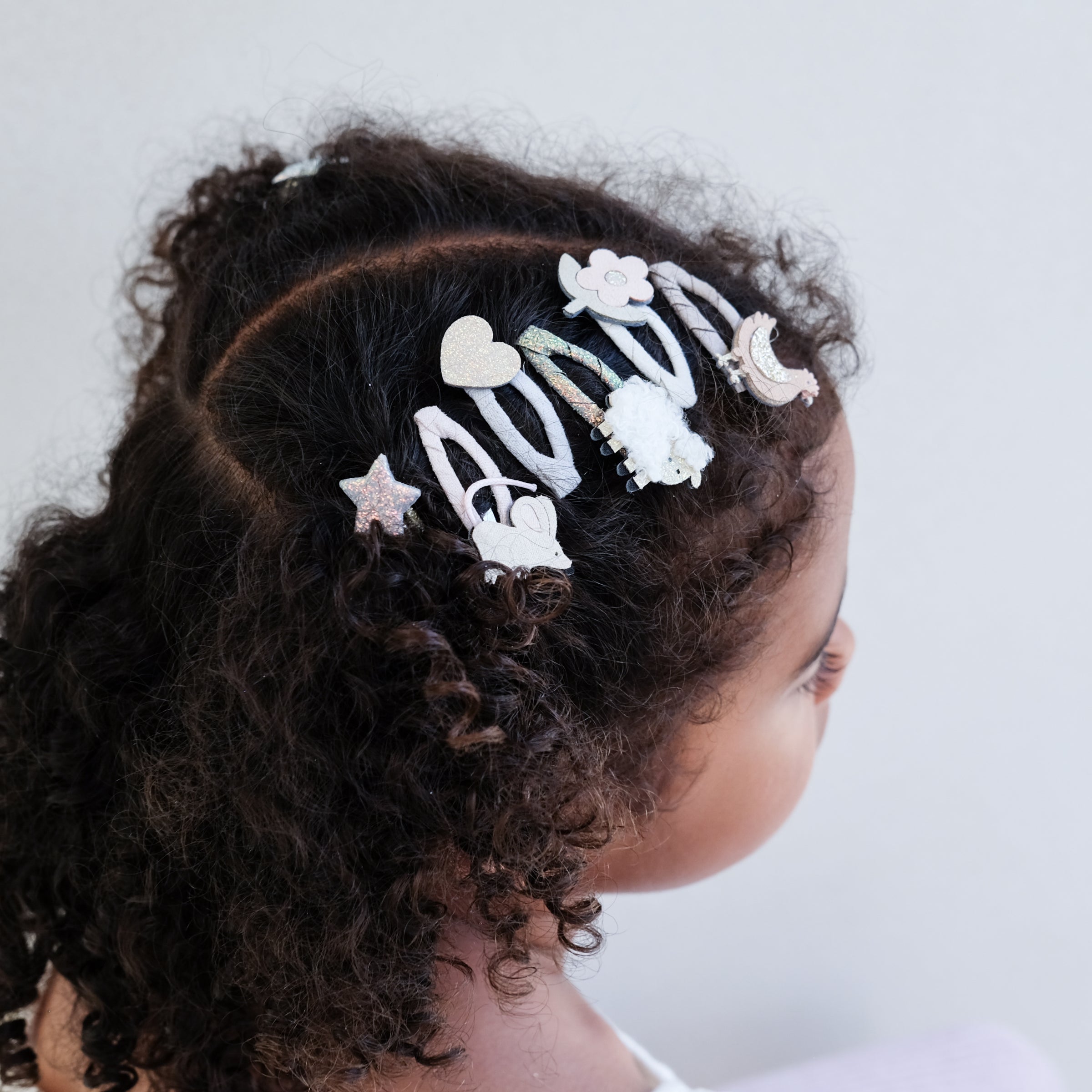 5-pack Boerderij Dieren haarclipjes