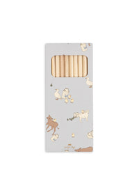 Kleurboek en kleurpotloden