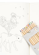 Kleurboek en kleurpotloden