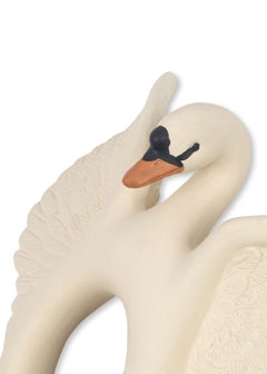 Swan bijtring
