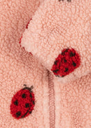 Jody Teddy Jas
