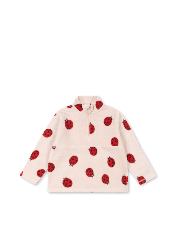 Ladybug