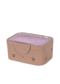 Glitter Lunchbox
