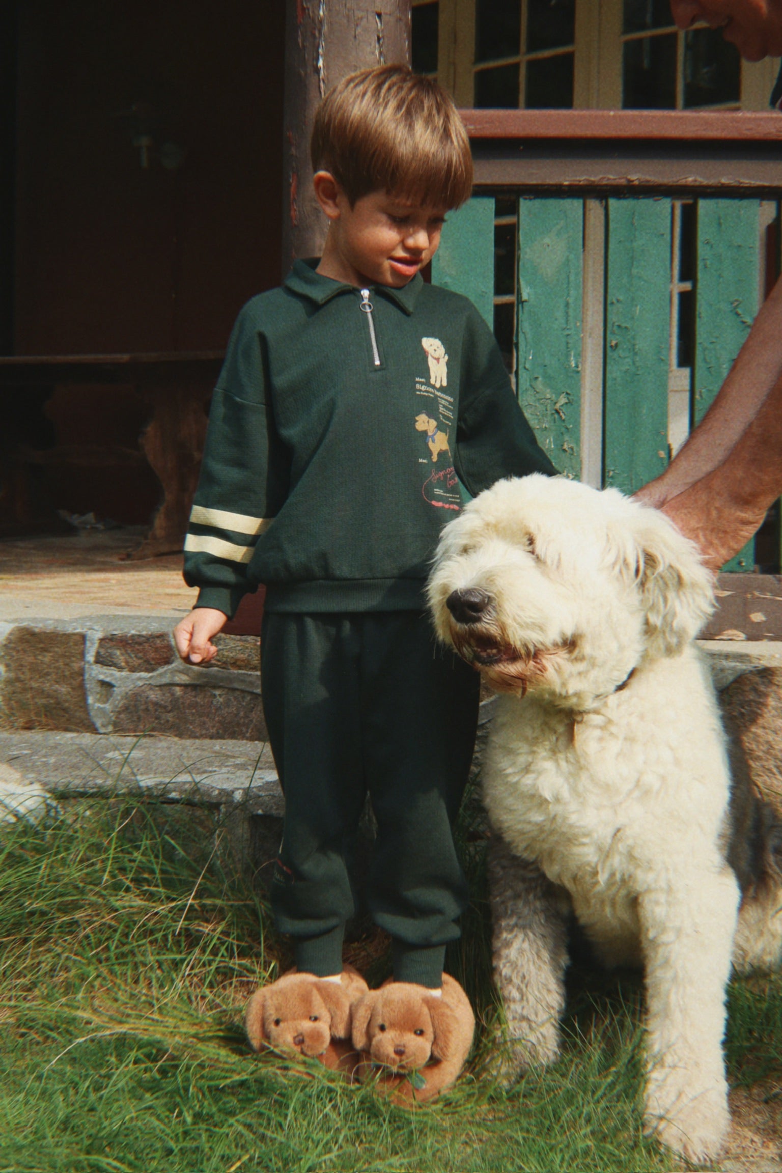 Sausage Dog Pantoffels