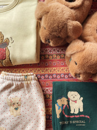 Sausage Dog Pantoffels