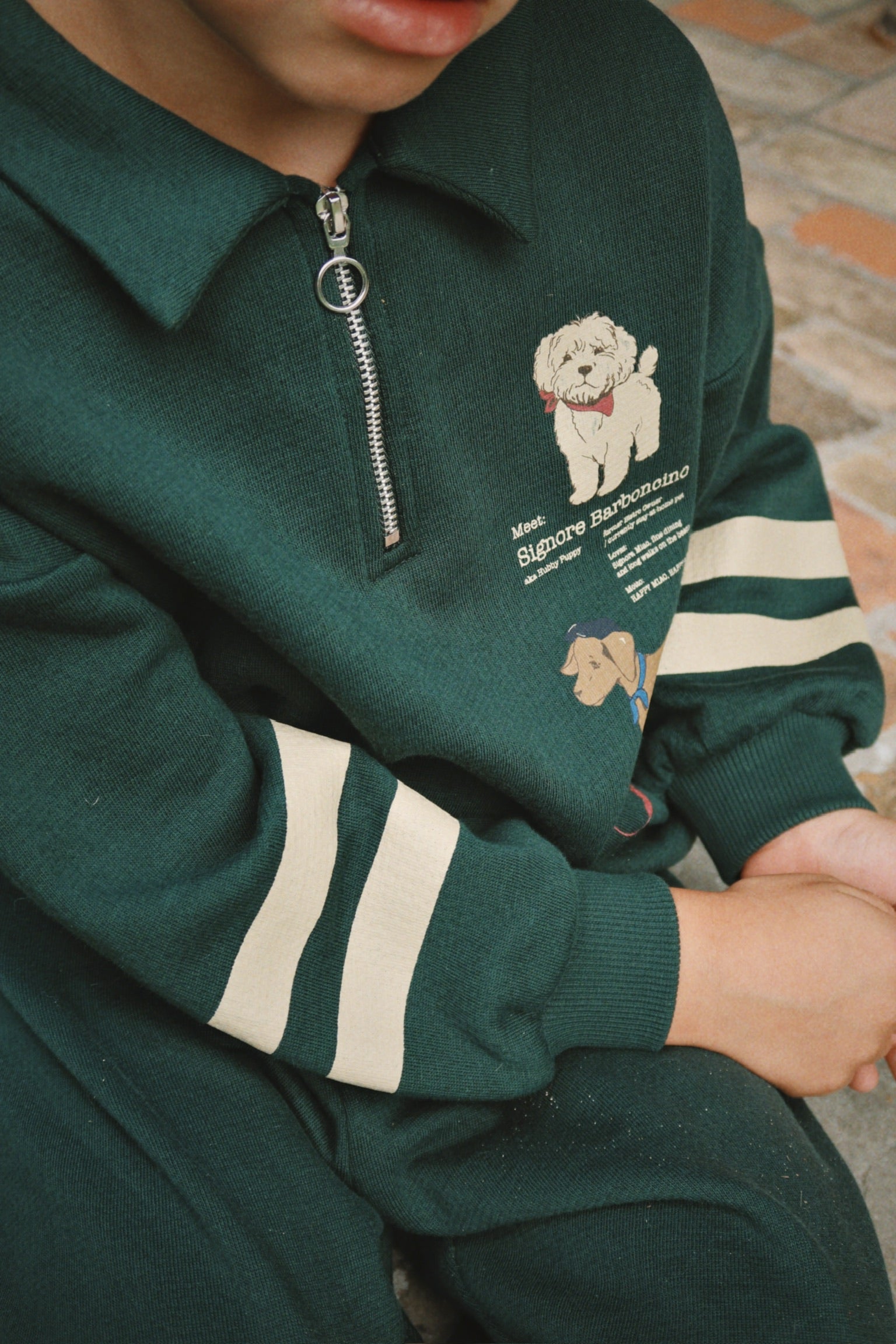 Doggy half-zip Sweater