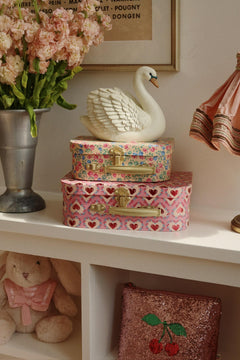 Swan Spaarpot
