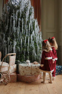 Kerst Set