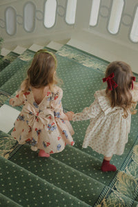 Cianna Dress