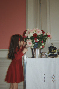 Velvet Bow haarband
